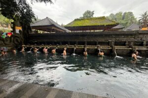 Erek2 Mangga: Makna, Arti, dan Cara Membaca Angka dalam